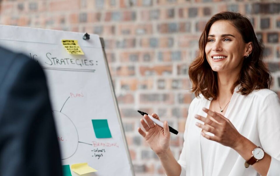 seo strategy for new new websites
